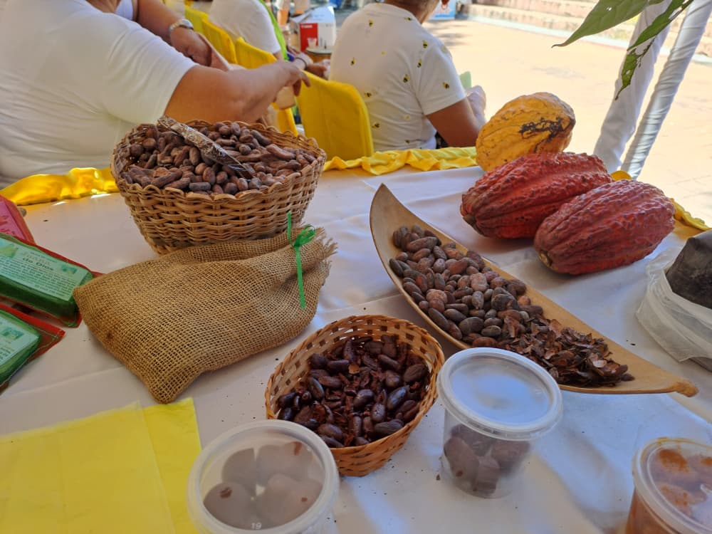 Municipio Santiago Mariño llevó a cabo Festival Internacional de la Arepa y el Chocolate